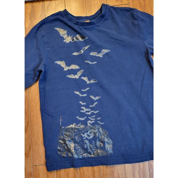 Boys Youth Size 8 (M) Blue Shirt long sleeve Haunted Bats - Picture 2 of 5